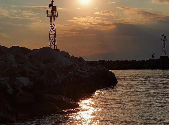 Carpenter's House * スカラ・ソティロス