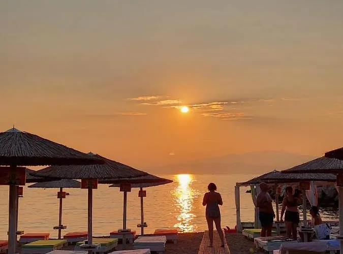 別荘 Carpenter's House